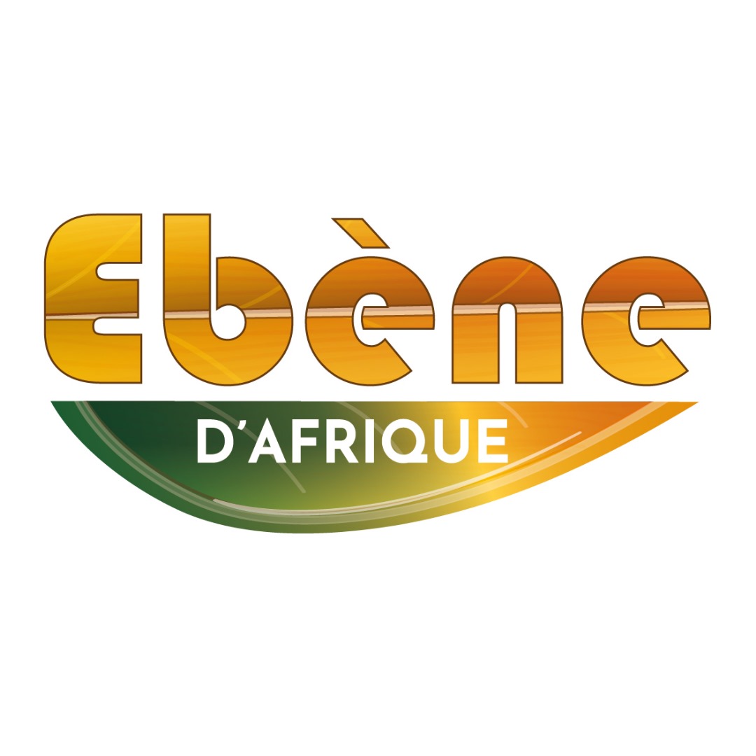 Logo EBENE D’AFRIQUE