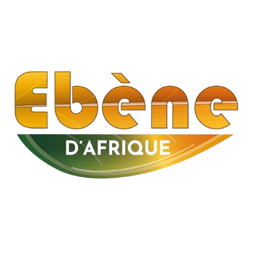 Logo EBENE D’AFRIQUE en blanc